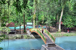 Bukan Hanya Mandalika! Ada Air Terjun Hingga Desa Wisata, Berikut Rekomendasi Tempat Wisata yang Bisa Dikunjungi Saat Libur Lebaran ke Lombok