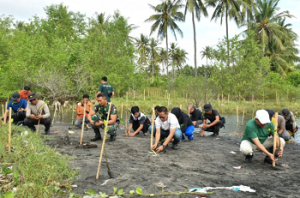 Kawasan Pesisir Pantai di Lombok Timur-NTB Ditanami Pohon Bakau