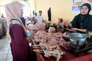 Stok Daging Beku di Mataram Siap Penuhi untuk Kebutuhan Idul Adha